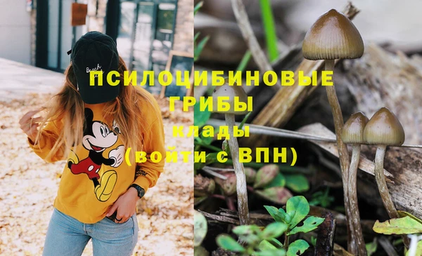 герыч Дмитриев